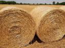 ALFALFA AND HAY, ARABLE LAND FOR RENT