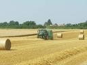 ALFALFA AND HAY, ARABLE LAND FOR RENT