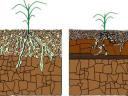 Soil loosener I TERMINATOR 7 knife I 45 cm depth I 3.0 m working width