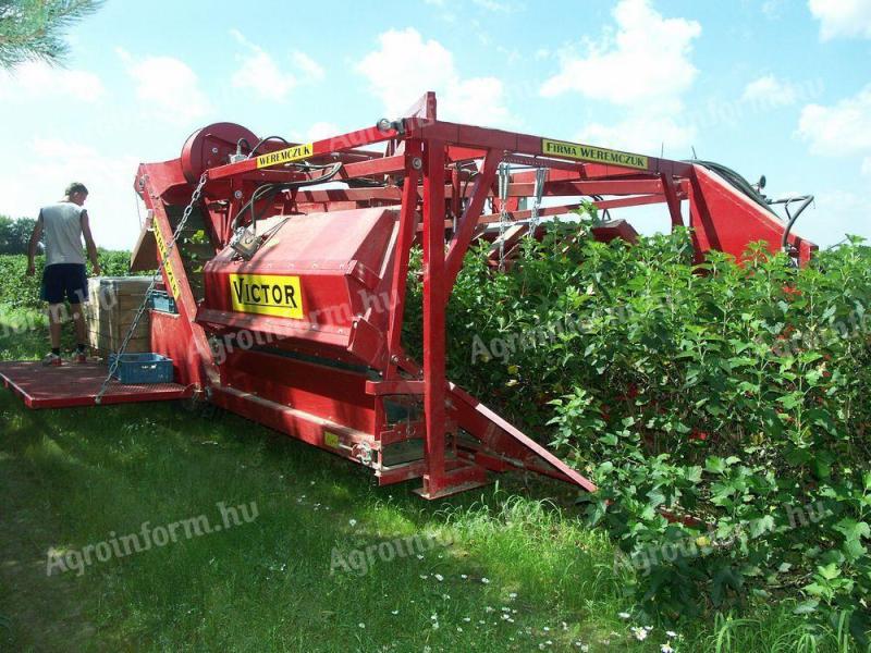 Weremczuk berry harvesters can be integrated into the horticultural tender