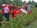 Weremczuk berry harvesters can be integrated into the horticultural tender