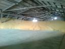 ISCC 2024 Hungarian production 3000 t of toxin-free dried fodder maize for sale