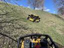 Green area management: mowing, weeding, grass cutting