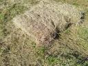 Small baled hay, small baled hay of impeccable quality