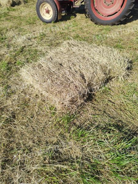 Kleine Ballen, kleine Heuballen, einwandfreie Qualität