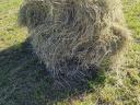 Small baled hay, small baled hay of impeccable quality