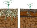 VIPER talajlazítók I 5-7 késes kivitel I 55 cm mélység
