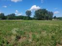 Landwirtschaftliches Grundstück zum Verkauf, auch als Baugrundstück, hinter Kecskemét, in der Nähe der Ladánybenei út