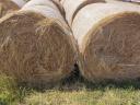 Hay bales for sale