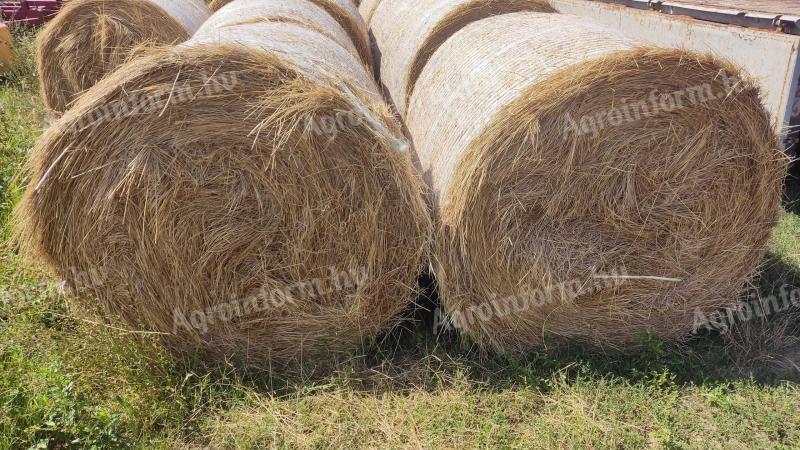 Hay bales for sale