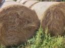 Hay bales for sale