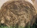 Hay bales for sale