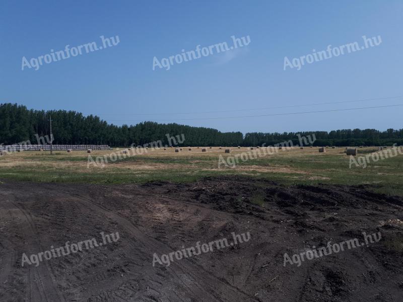 Hay bales for sale from this year's harvest