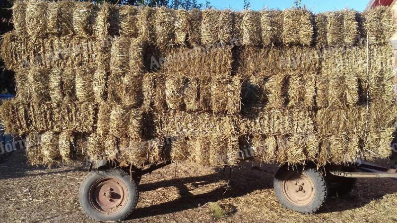 Traktor után való pótkocsi eladó