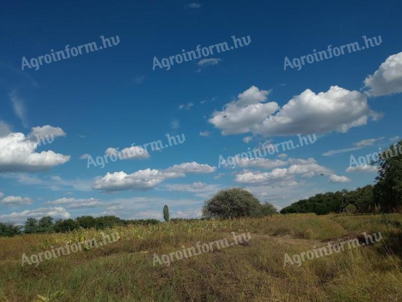 953 m2 PRODAJA PARCELE 1/1 vlasništvo Budimpešta XVII. okrug, Erdő utca Hrsz.: 138306/23