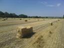 Small hay bale, small cube bale, straw and hay round bale for sale