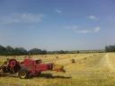 Small hay bale, small cube bale, straw and hay round bale for sale