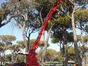 FAMA - TR1K HYDRAULIC PRUNING STAND