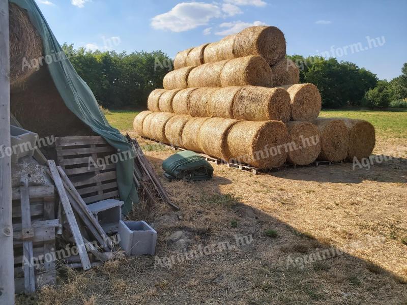 Szalma körbála Sülysápon eladó