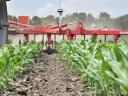 Medziriadkový kultivátor EINBÖCK CHOPSTAR CORN, SUNFLOWER (riadenie buriny, ochrana vody)