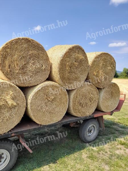 Wheat straw for sale