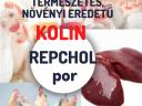 REPCHOL: Természetes,  növényi eredetű,  jól hasznosuló kolin és biotin tartalmú készítmény