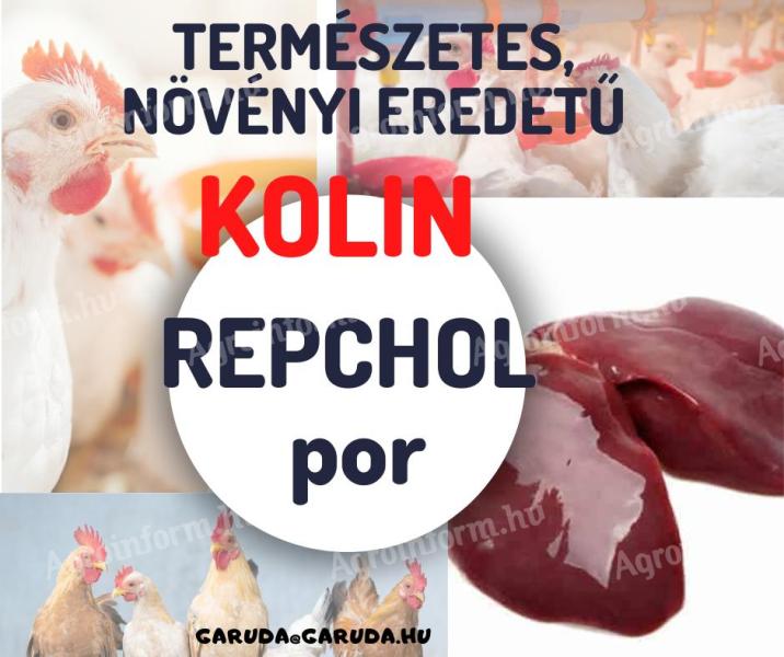 REPCHOL: Természetes,  növényi eredetű,  jól hasznosuló kolin és biotin tartalmú készítmény