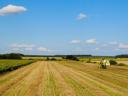 In Csongrád, Szentes und Umgebung stehen landwirtschaftliche Flächen von guter Qualität zur Miete