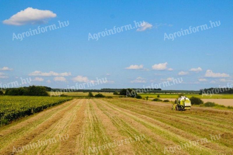 Kvalitní zemědělská půda k pronájmu v Csongrád, Szentes a okolí