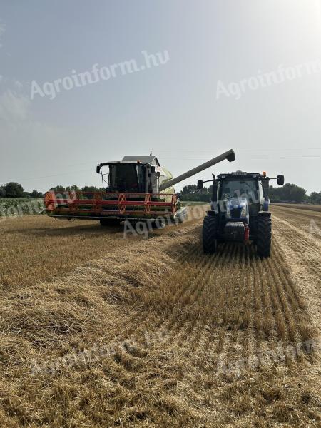 Sunflower and maize harvesting and agricultural contracting