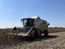 Wir übernehmen die Lohnernte von Sonnenblumen und Mais sowie landwirtschaftliche Lohnarbeiten