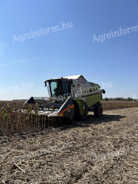 Sunflower and maize harvesting and agricultural contracting