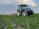 Recoltarea florii-soarelui și a porumbului și contracte agricole