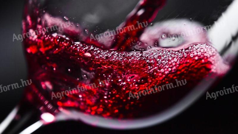 Szekszárd Syrah (Shiraz) czerwone wino na sprzedaż