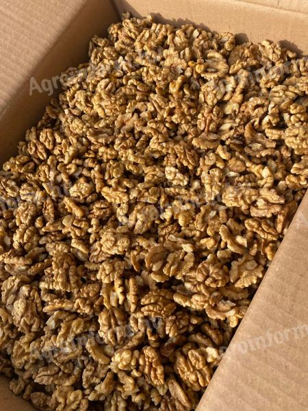 Nice, bright walnut kernels for sale in bulk