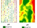 Precision Farming - Beratung, weitere Dienstleistungen