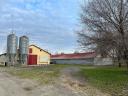 Poultry rearing and stuffing plant