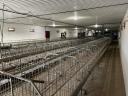 Poultry rearing and stuffing plant