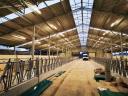 Grajd Hayloft Hall cadru structură din oțel
