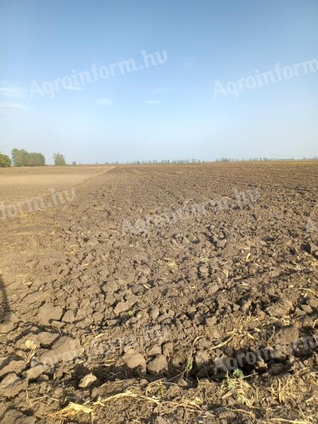 Teren agricol de vânzare, schimbabil în Kengyel