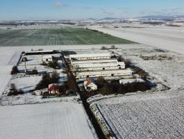 Baromfitelep ill. major, eladó