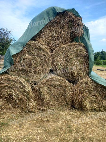 Lucerna round bales