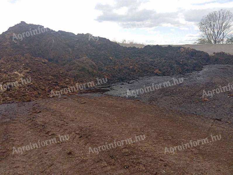 Organic cattle manure for sale