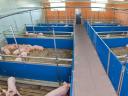 Attention pig farmers! WEDA liquid feeding system also in the SFE tender