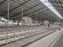 We are looking for stable foreman colleagues for a cattle farm with milking robot