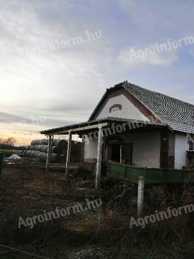 Livestock farm on the outskirts of Dunaszentgyörgy, also eligible for SGEI tender