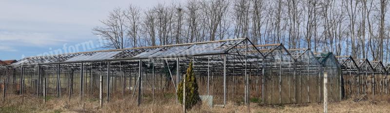 VENLO type greenhouse frame for sale for dismantling