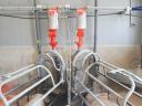 Attention pig farmers! WEDA dry grinding feeding system also in the STS tender