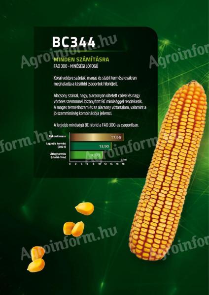 Are you afraid of drought? Choose early maize seeds! (1 hectare - 50.000 HUF + VAT)