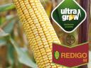 Are you afraid of drought? Choose early maize seeds! (1 hectare - 50.000 HUF + VAT)